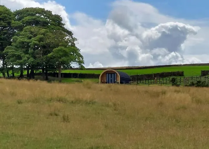 Appartement High Whashton Springs Glamping Pod, Yorks Richmond (North Yorkshire)