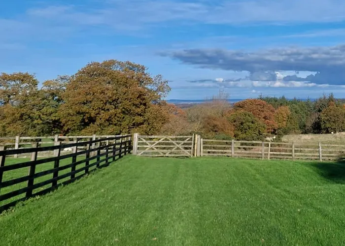High Whashton Springs Glamping Pod, Yorks